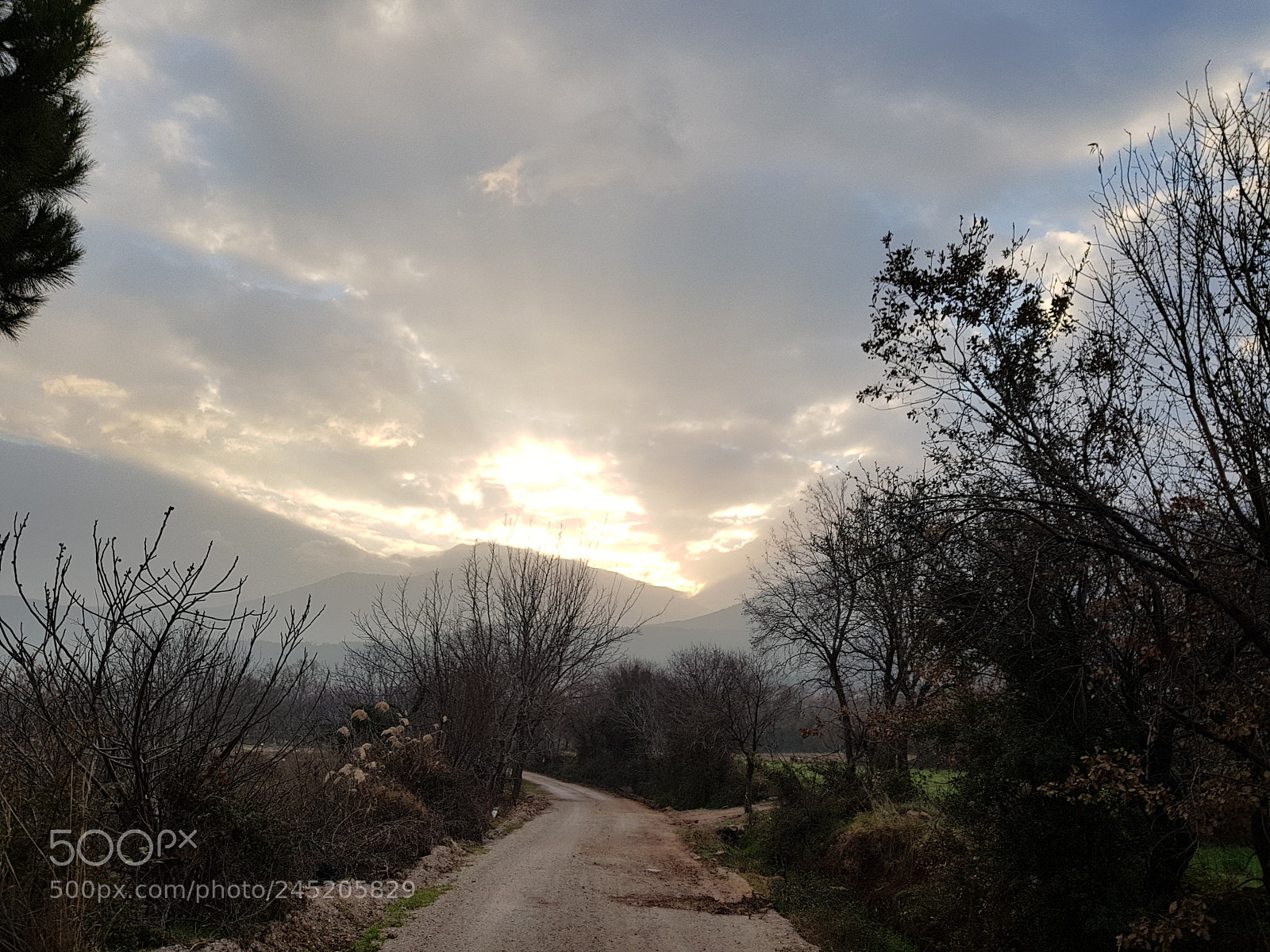 Samsung Galaxy S8 sample photo. Run to the sun photography