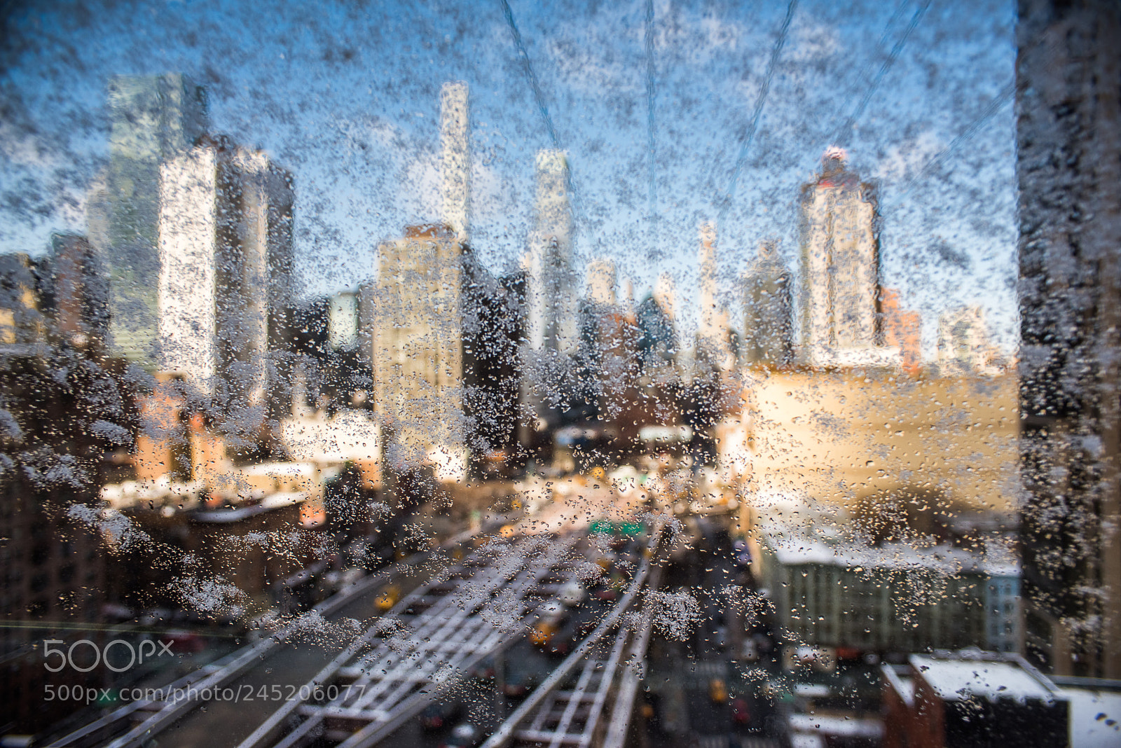 Nikon D810 sample photo. [ winter in nyc ] photography
