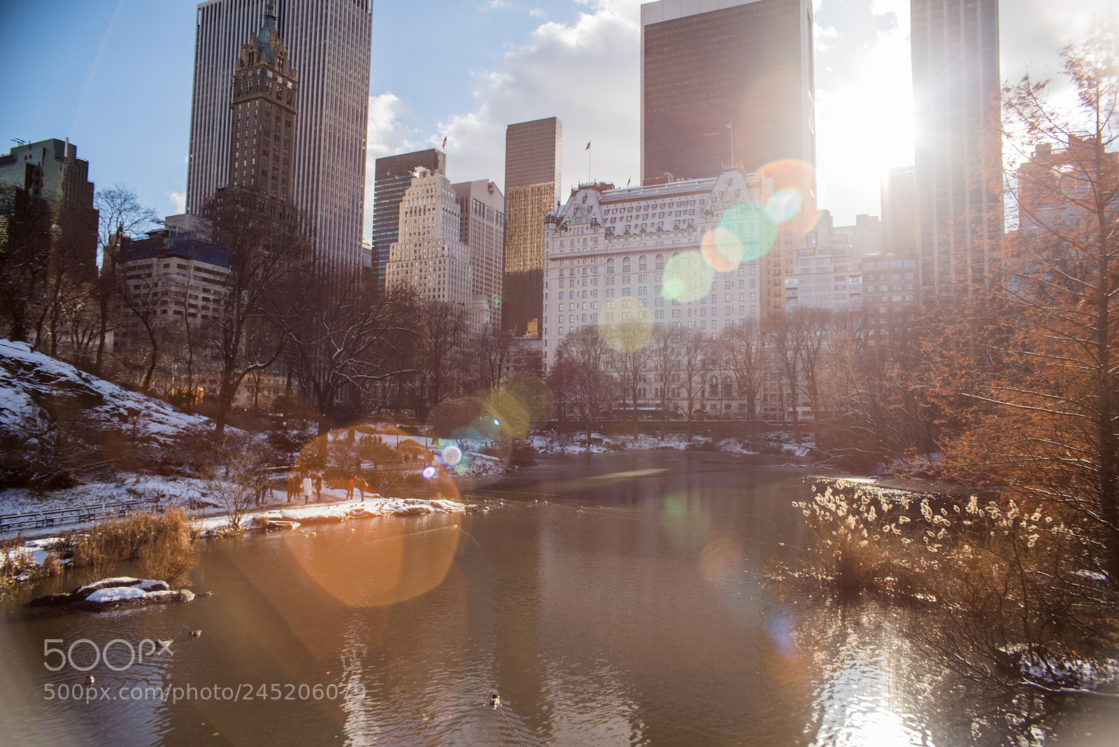 Nikon D810 sample photo. [ winter in nyc ] photography