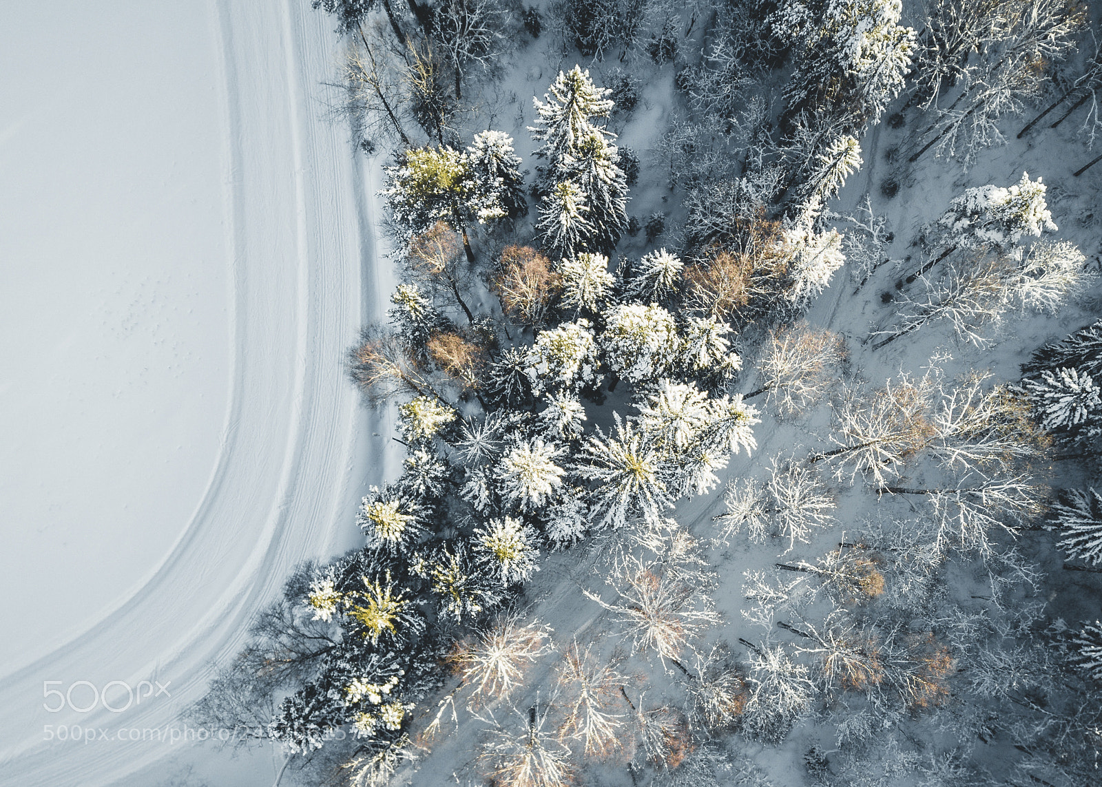 DJI FC220 sample photo. Bouquet of trees photography