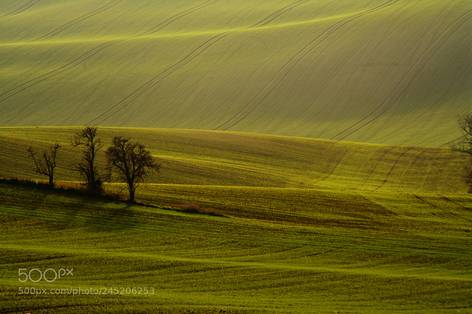 Nikon D7100 sample photo. Moravia tuscany photography