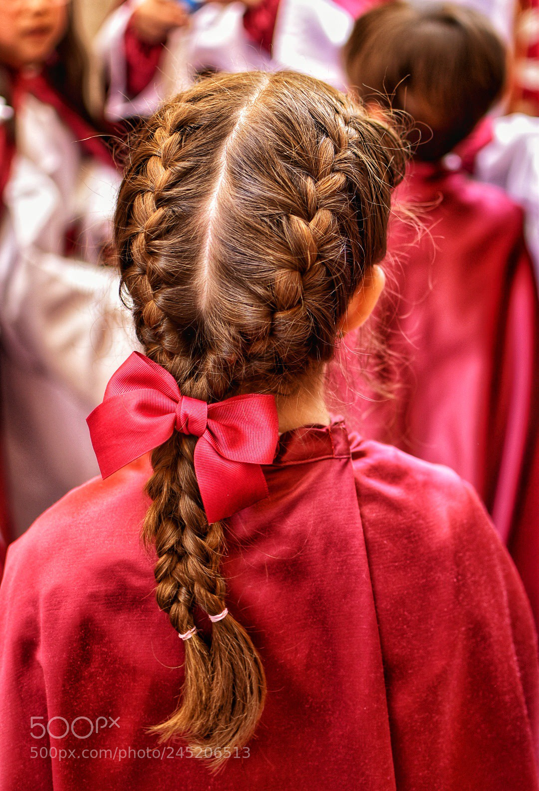 Nikon D5500 sample photo. Red photography