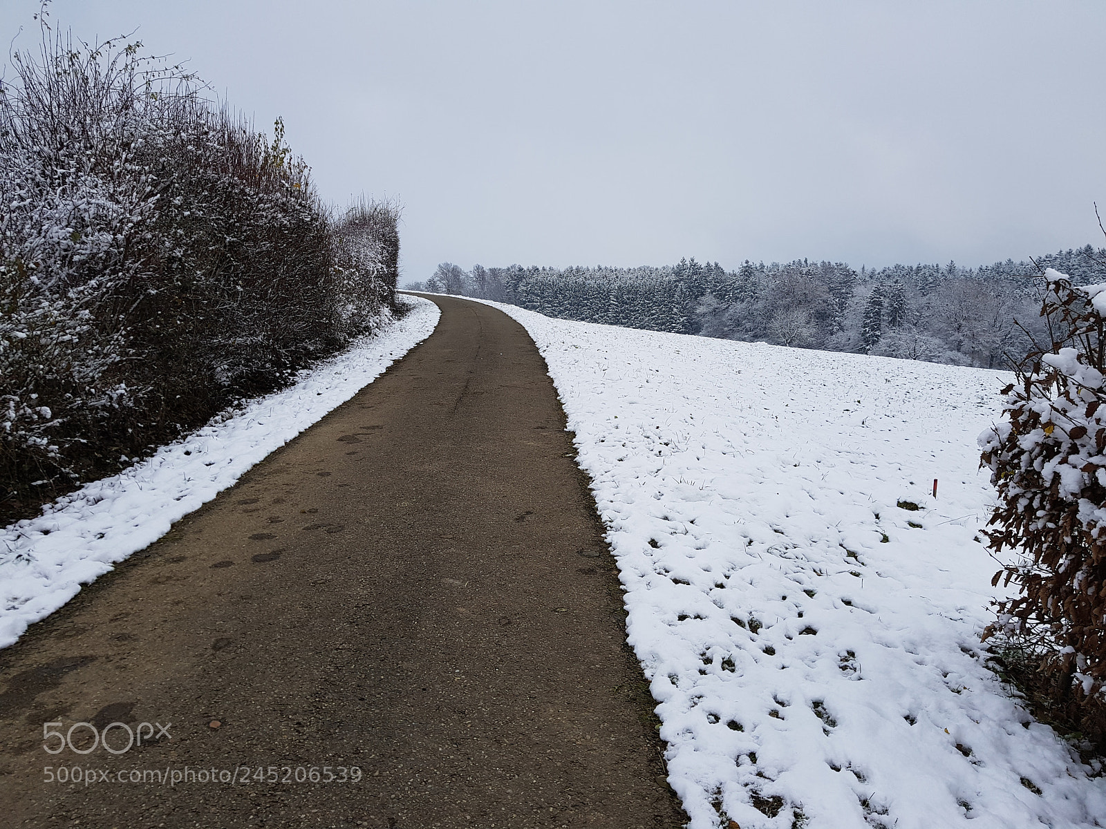 Samsung Galaxy S8+ sample photo. Snow landscape photography
