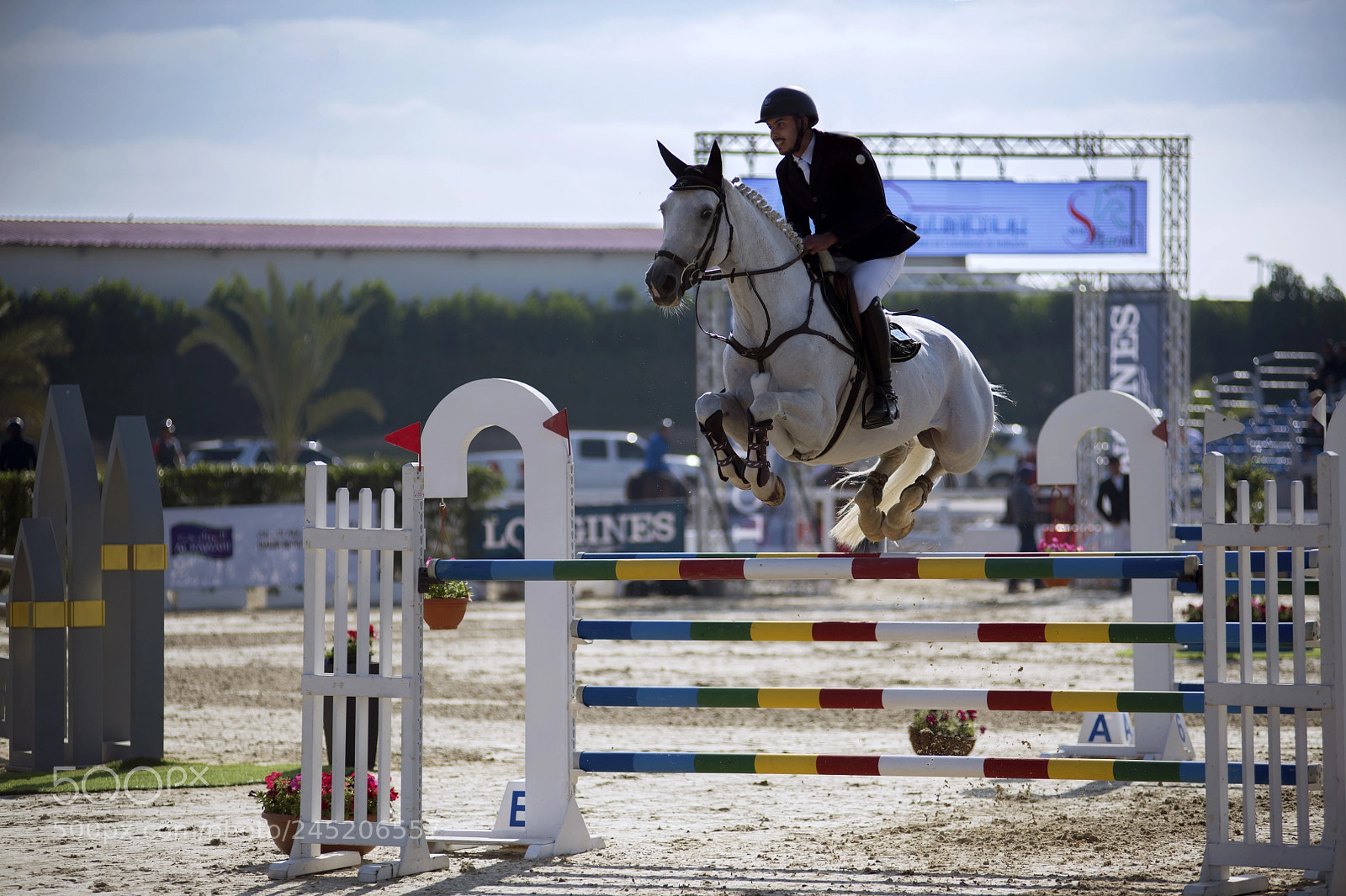 Nikon D850 sample photo. Showjumping photography