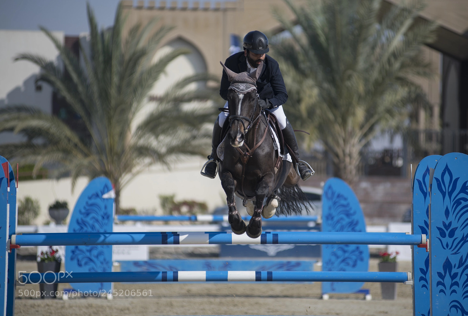 Nikon D850 sample photo. Showjumping photography