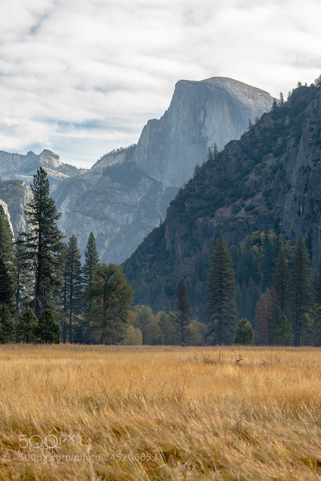 Nikon D800 sample photo. Half dome photography