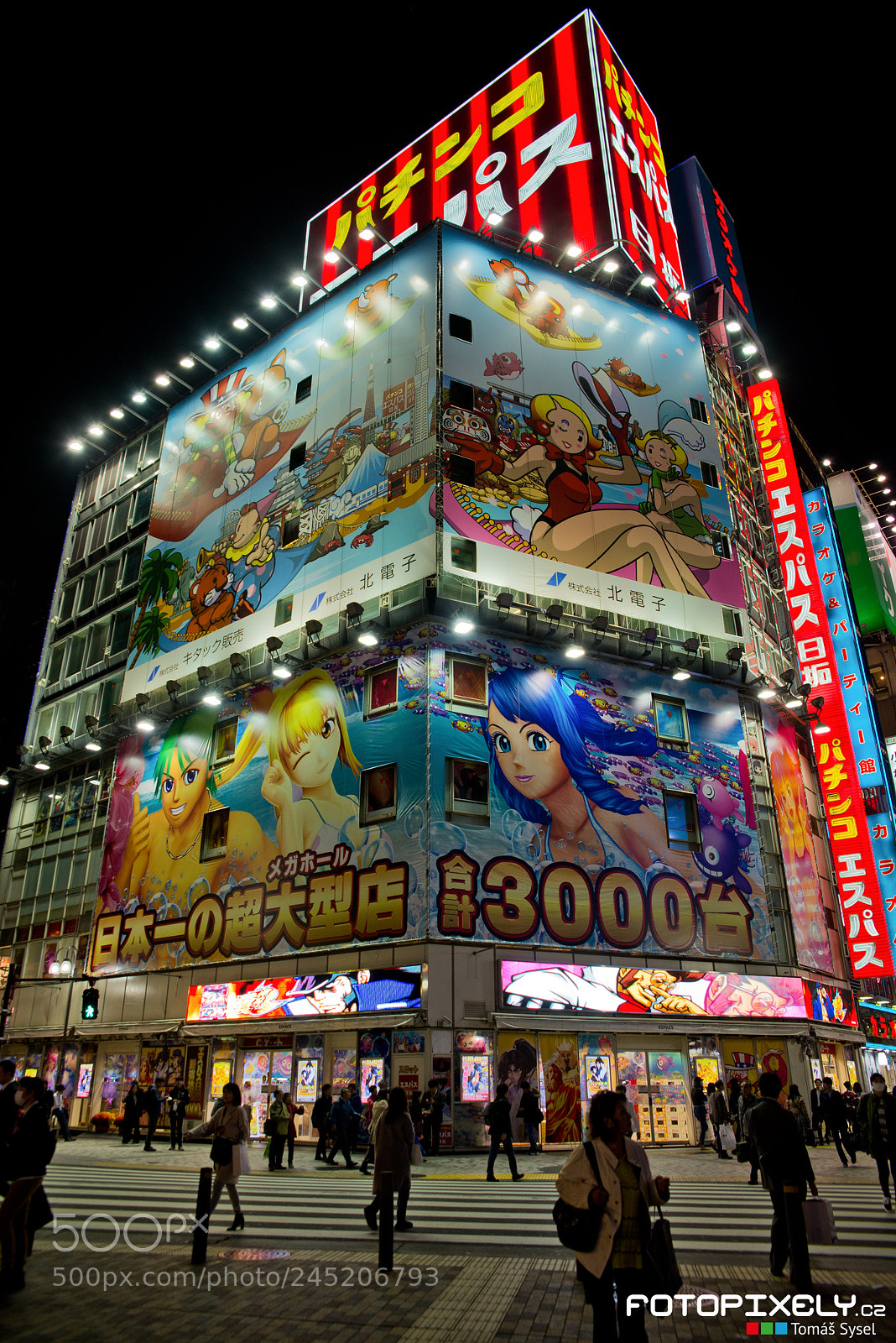 Nikon D600 sample photo. Star dobr tokio old photography