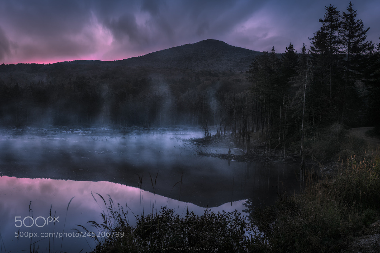 Nikon D810 sample photo. Fog stacks rising in photography