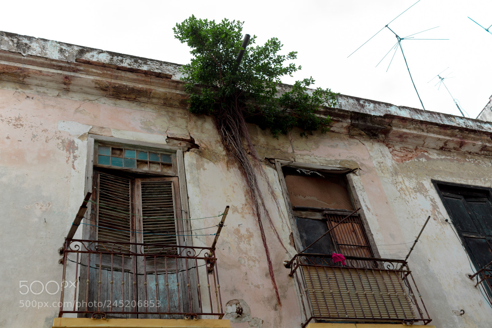 Canon EOS 1300D (EOS Rebel T6 / EOS Kiss X80) sample photo. La habana photography