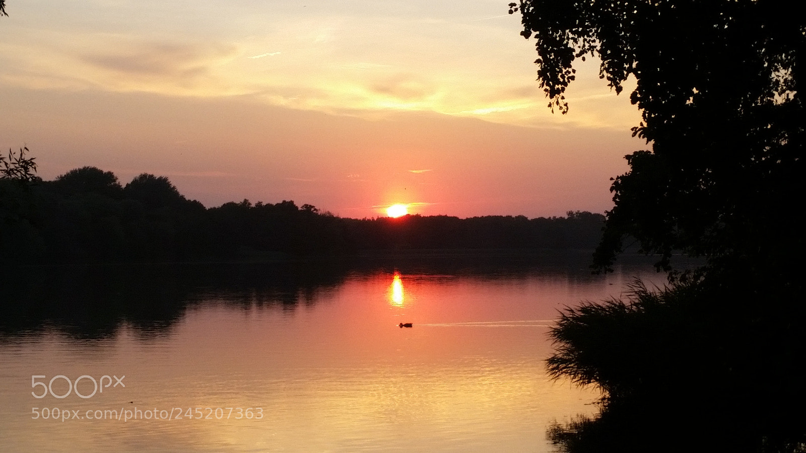 Samsung Galaxy S5 sample photo. Jogging photography