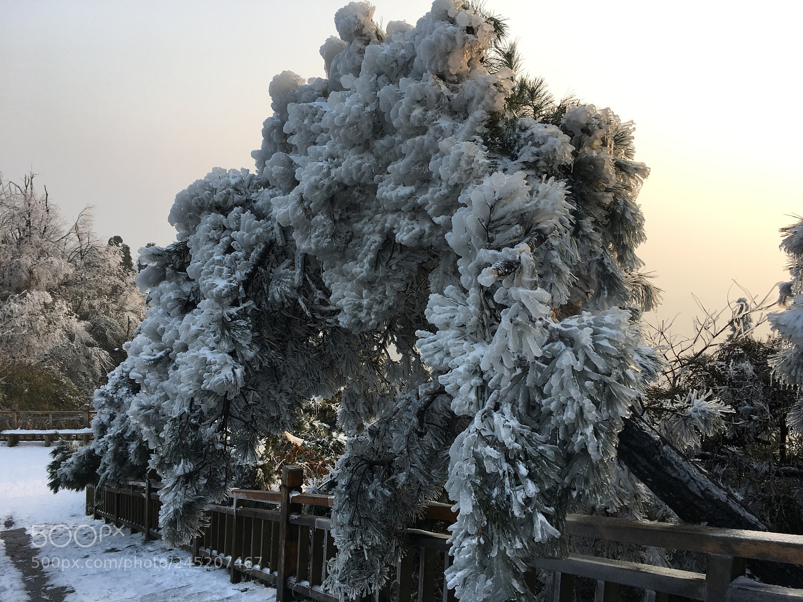 Apple iPhone 6s Plus sample photo. 常德 太阳山 photography