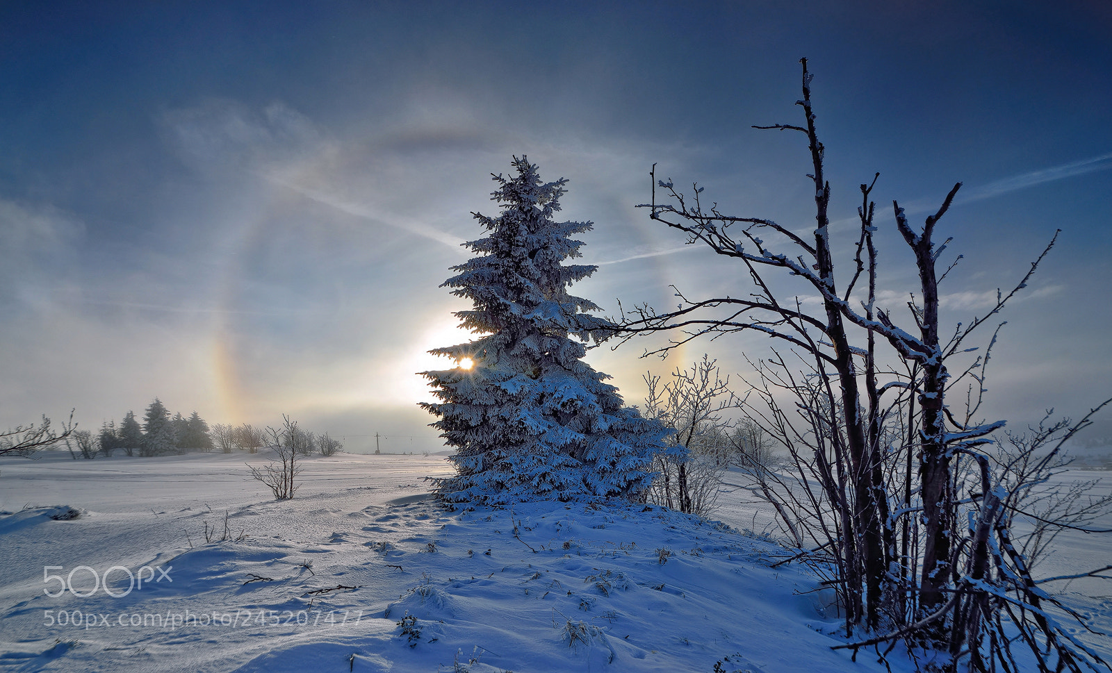 Nikon D800E sample photo. Winter halo photography