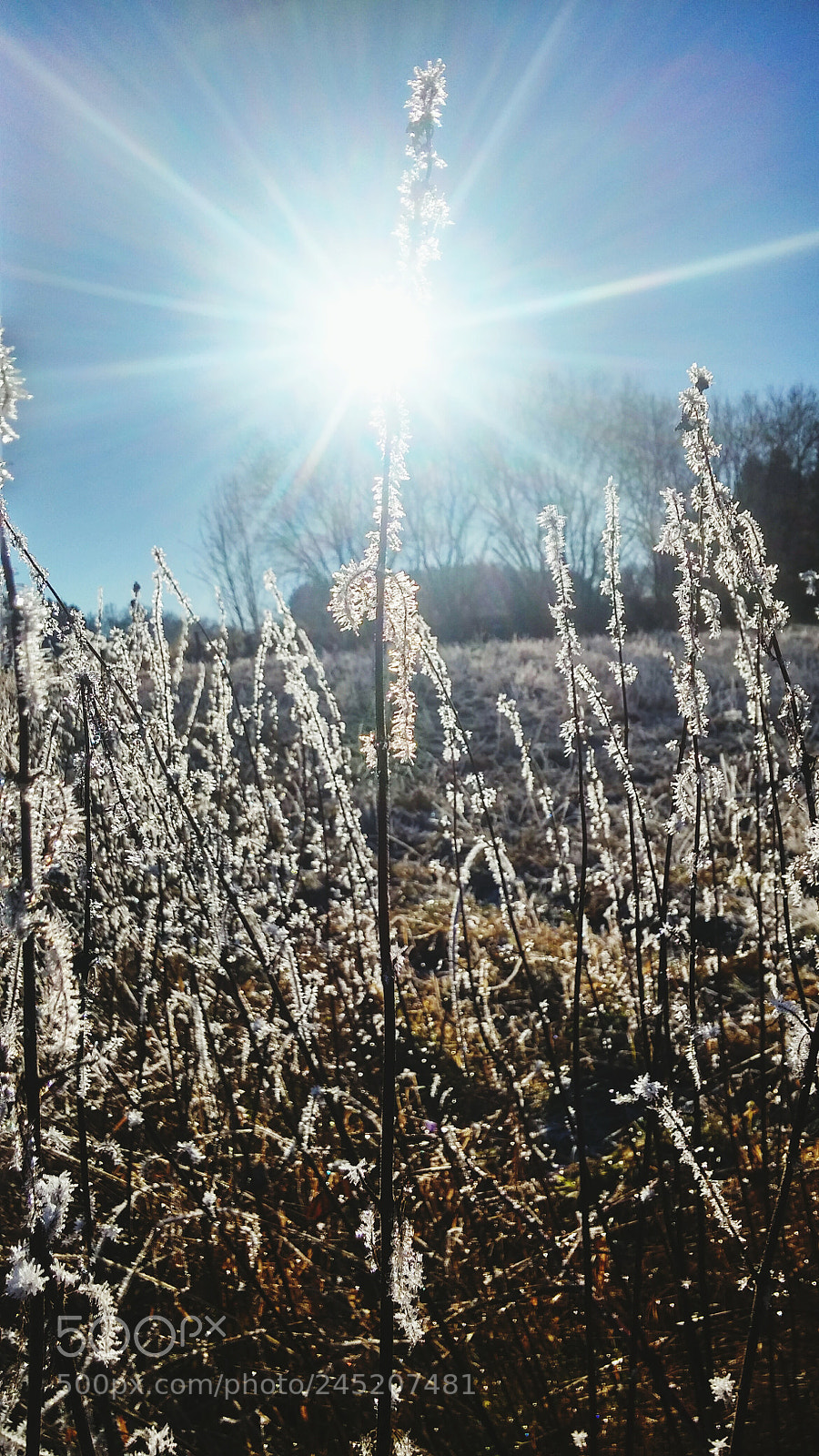 LG G3 sample photo. Untitled photography