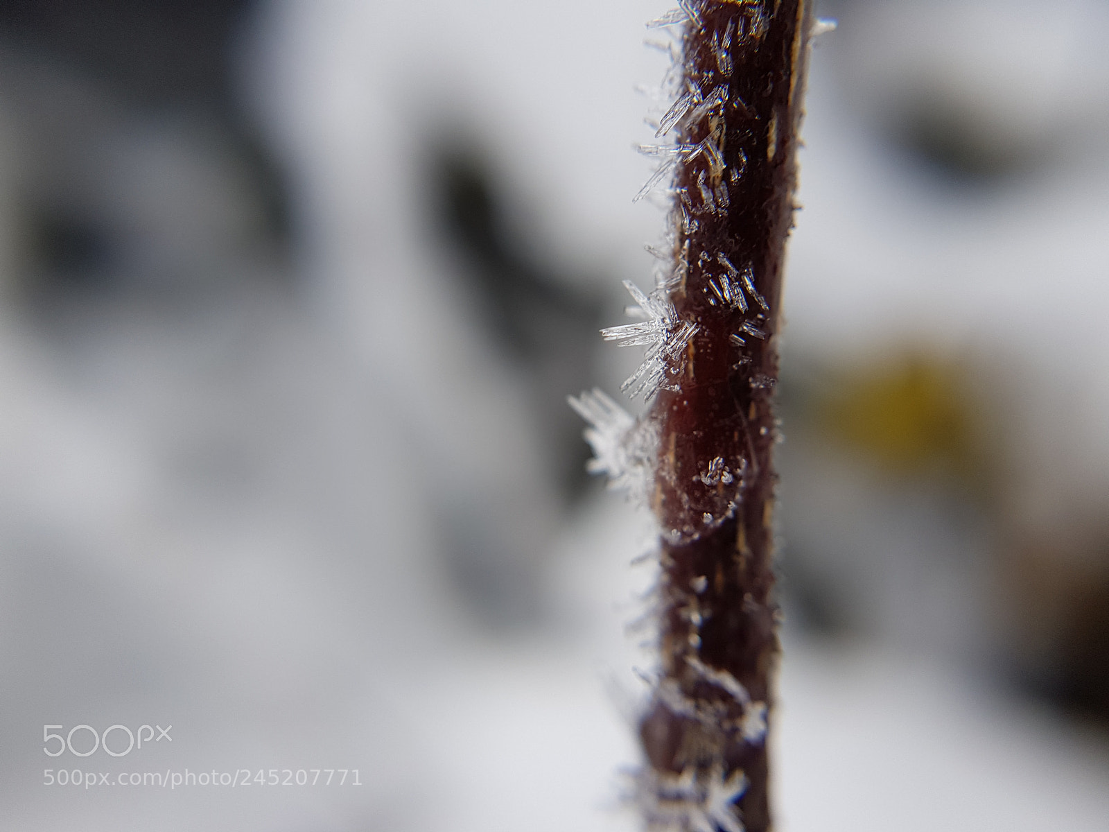 Samsung Galaxy S8+ sample photo. Icedusted photography