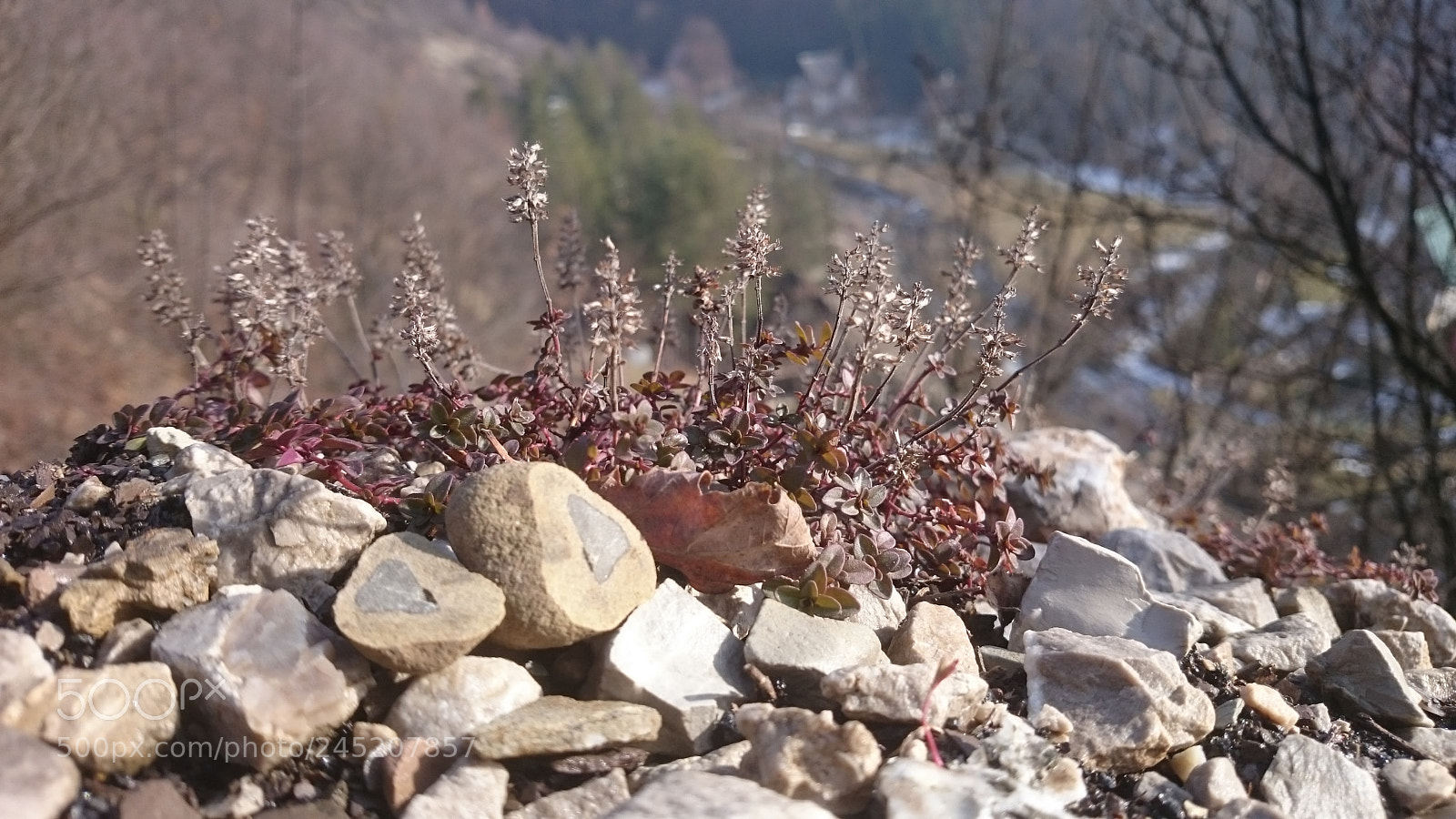 Sony Xperia Z2 sample photo. Stone photography