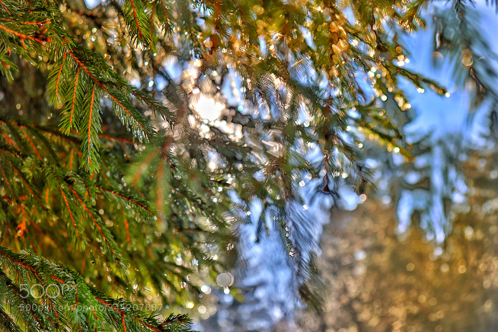 Canon EOS 77D (EOS 9000D / EOS 770D) sample photo. Untitled photography