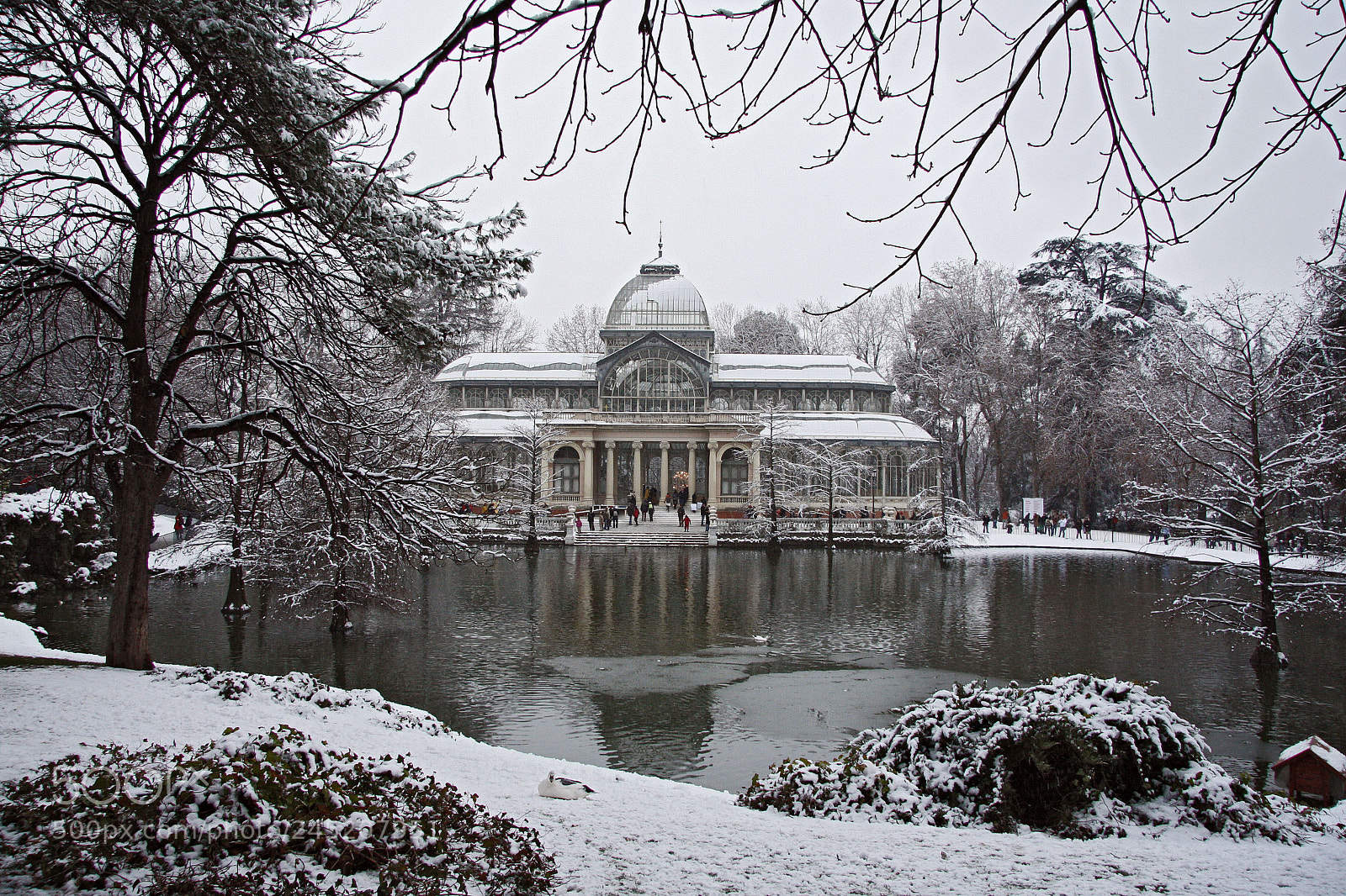 Canon EOS 40D sample photo. Snow in crystal palace photography