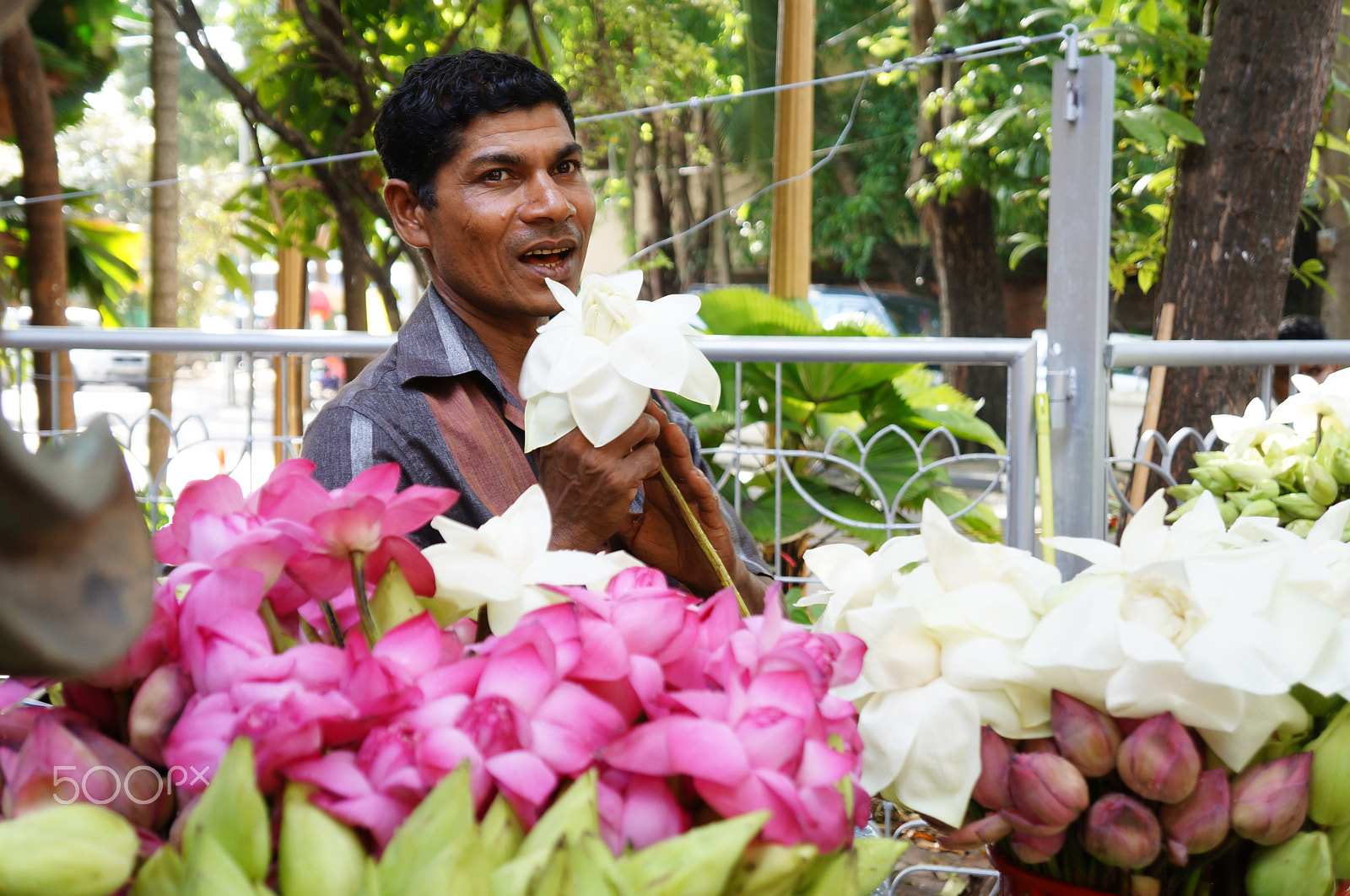 Sony Alpha NEX-F3 + Sony E 18-55mm F3.5-5.6 OSS sample photo. A lotus seller in colombo photography