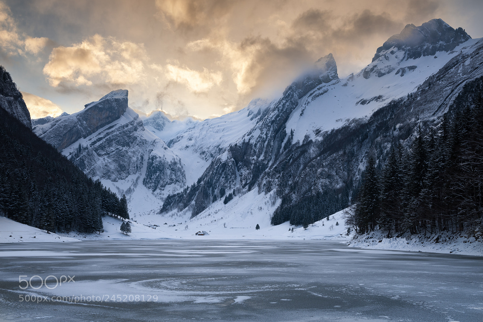 Nikon D850 sample photo. Seealpsee photography