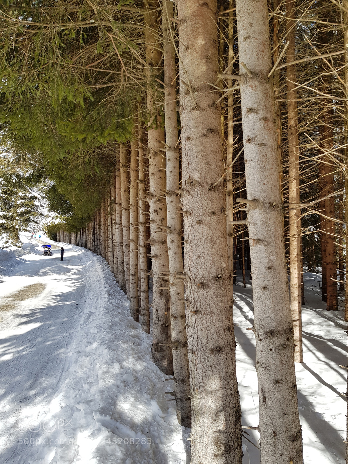 Samsung Galaxy S8+ sample photo. Prospettive photography