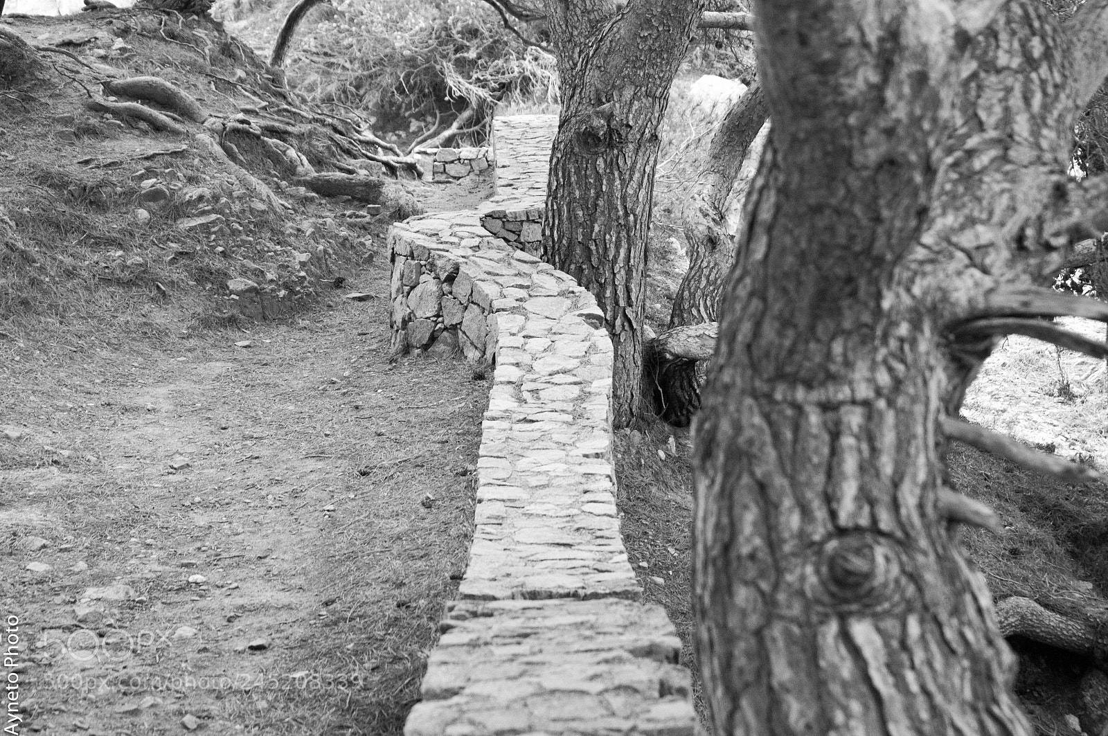 Nikon D5000 sample photo. Ronda photography