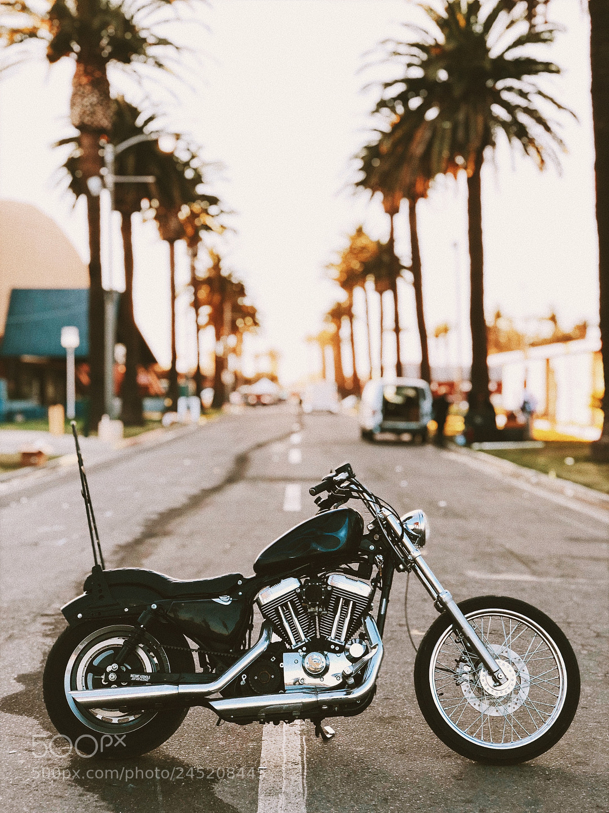 Apple iPhone X sample photo. Cali dreaming photography
