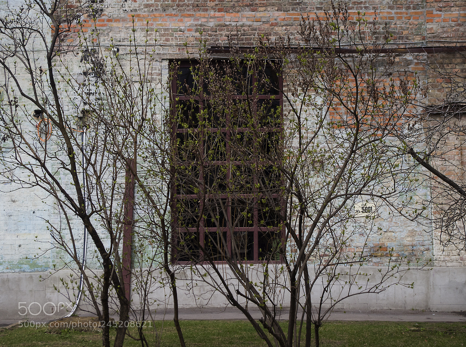 Pentax K-30 sample photo. Window of an old photography