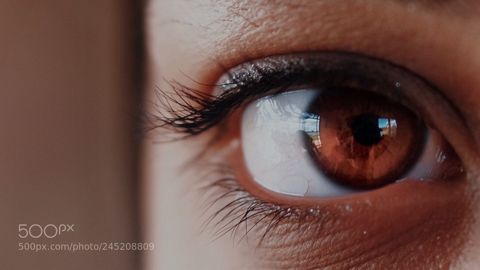 Fujifilm X-E2S sample photo. What do you see? photography