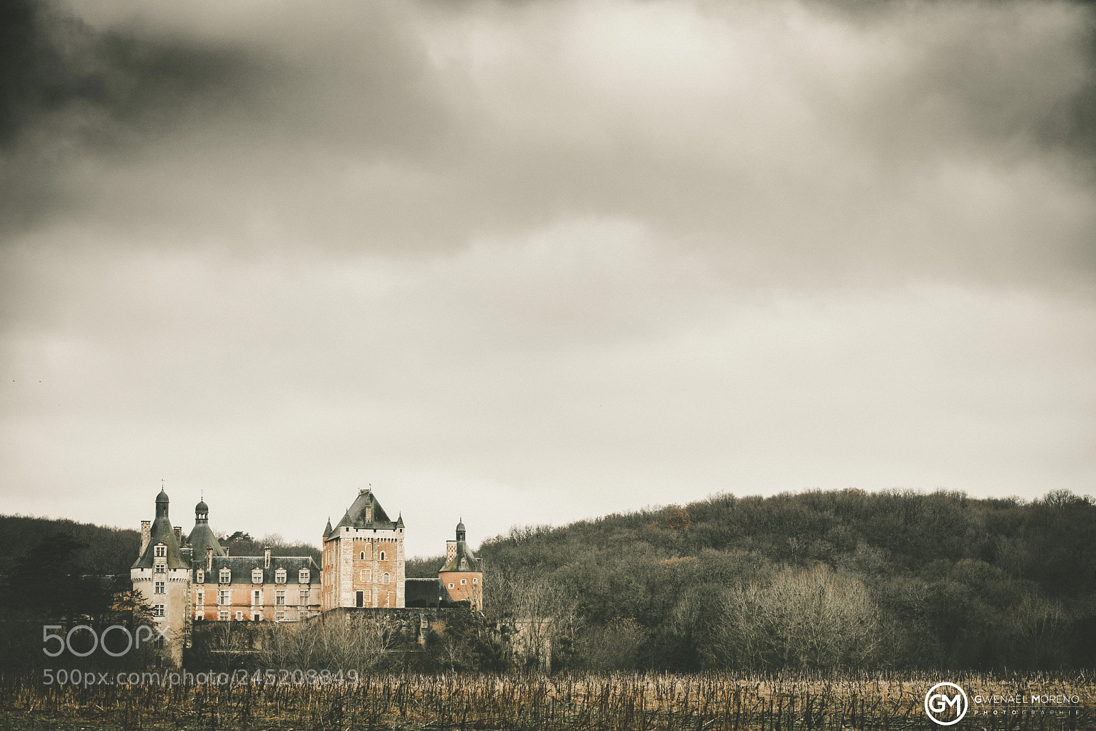 Sony a7 II sample photo. Château de touffou photography