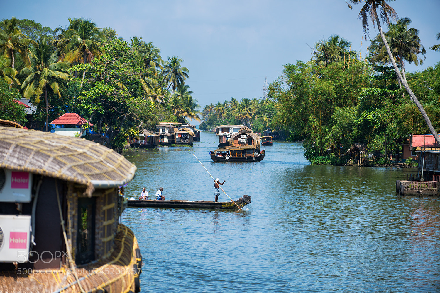 Nikon D800 sample photo. Backwater india photography