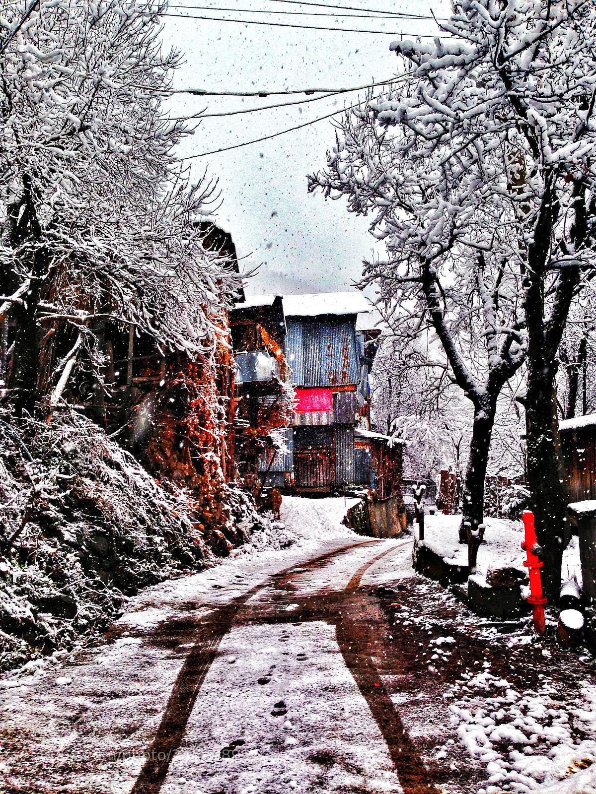 Apple iPhone 5 sample photo. Artvin photography