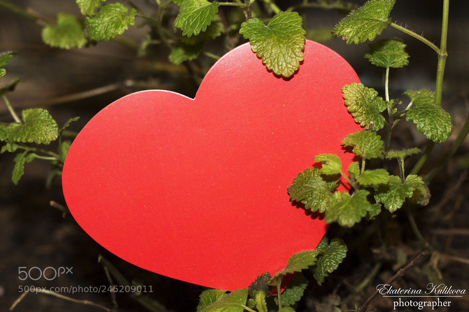 Canon EOS 1100D (EOS Rebel T3 / EOS Kiss X50) sample photo. Heart photography