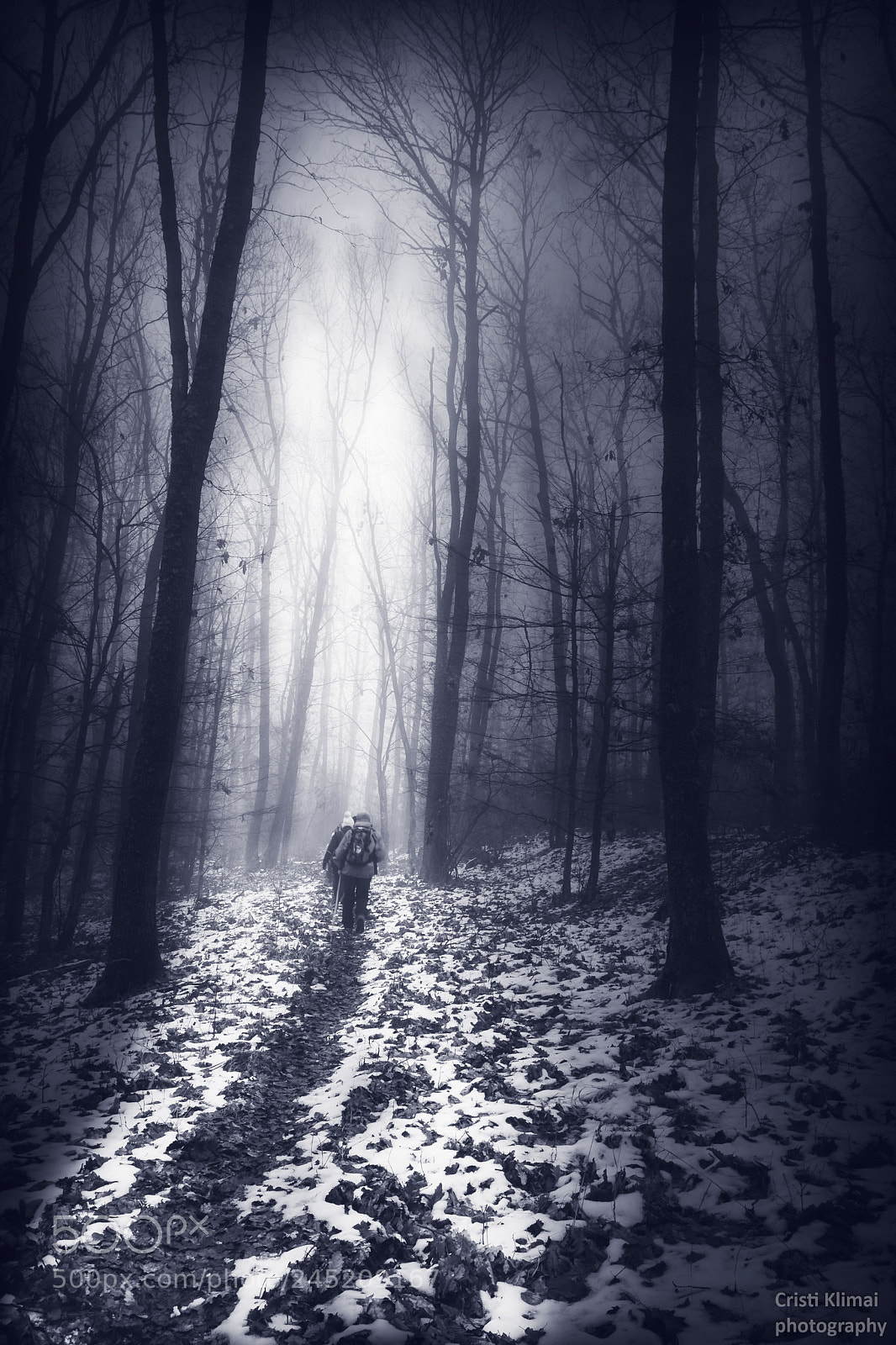Nikon D3100 sample photo. Trail to nowhere photography