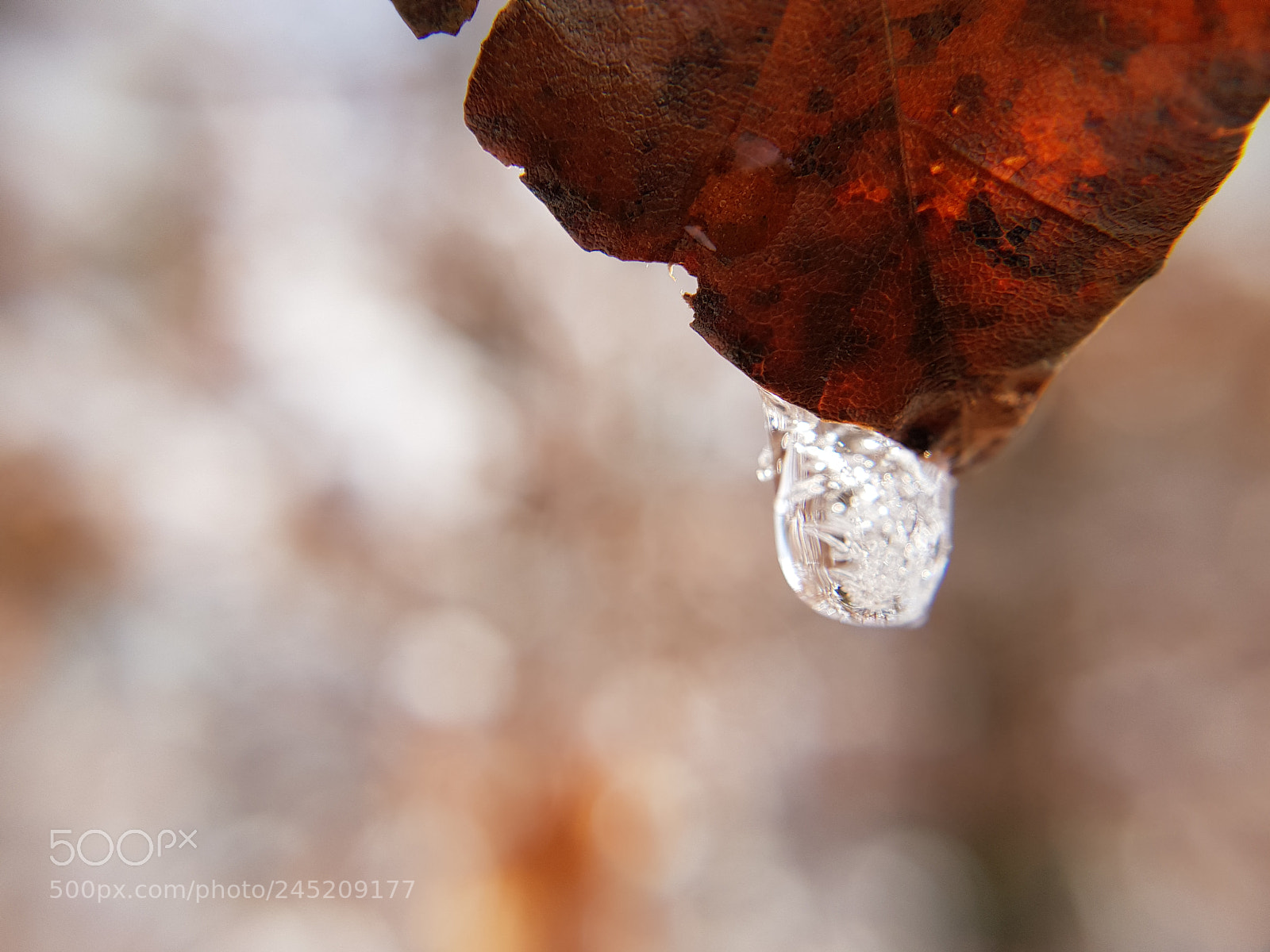 Samsung Galaxy S8+ sample photo. Crystal mountain photography