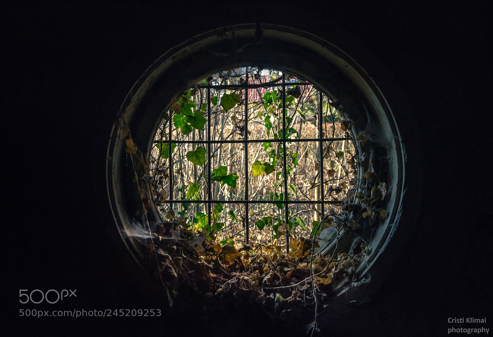 Nikon D3100 sample photo. Window to life photography