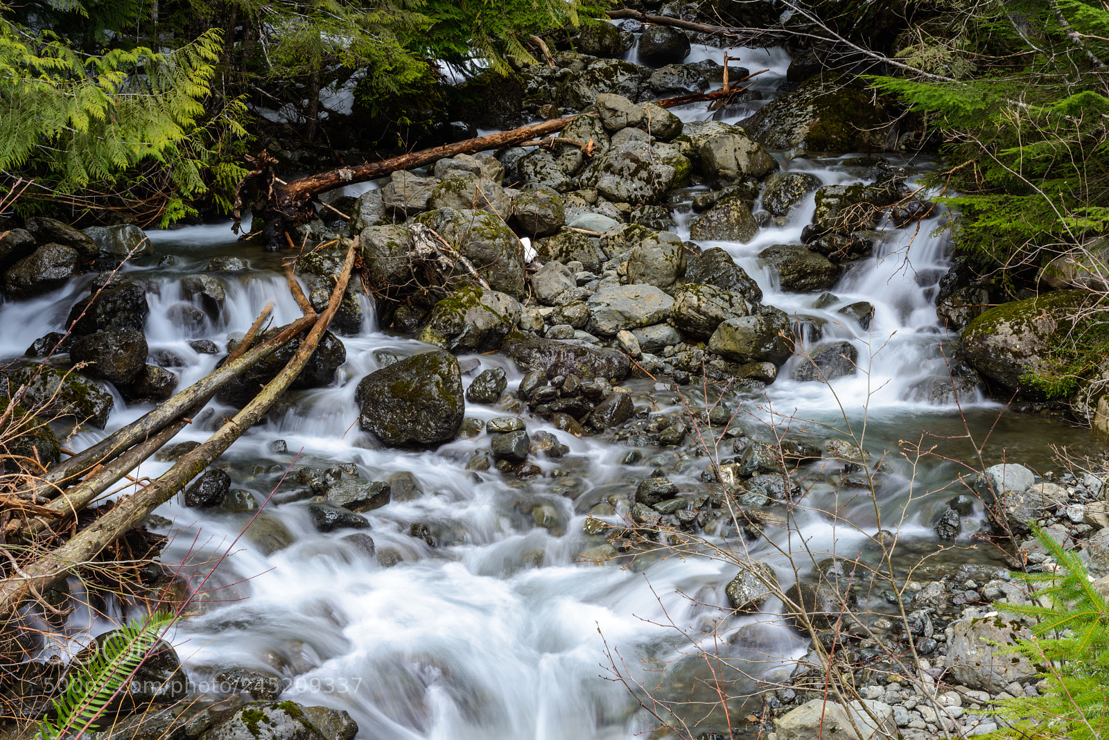 Nikon D800 sample photo. Mountain stream photography
