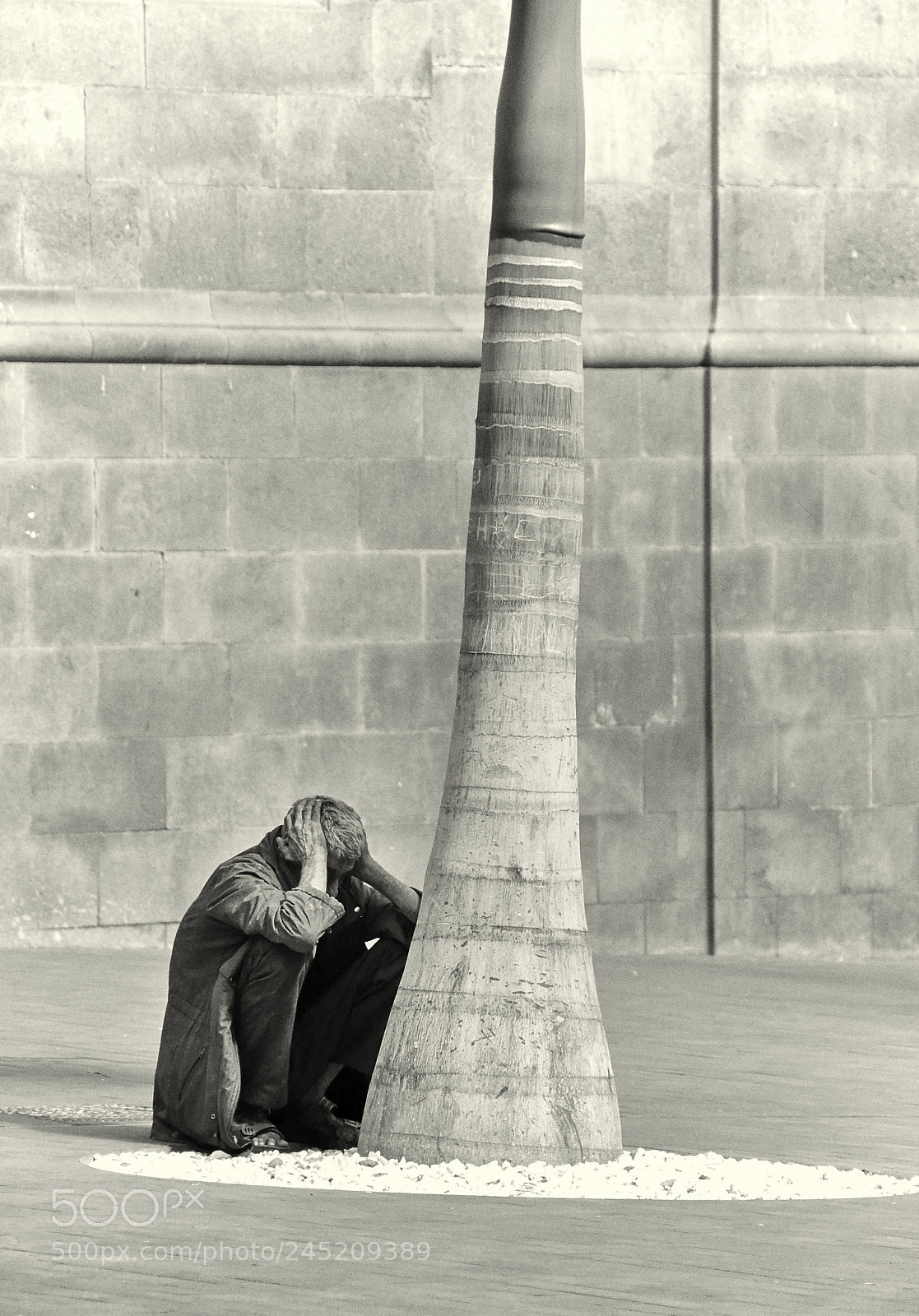 Nikon D90 sample photo. Despair #2 photography