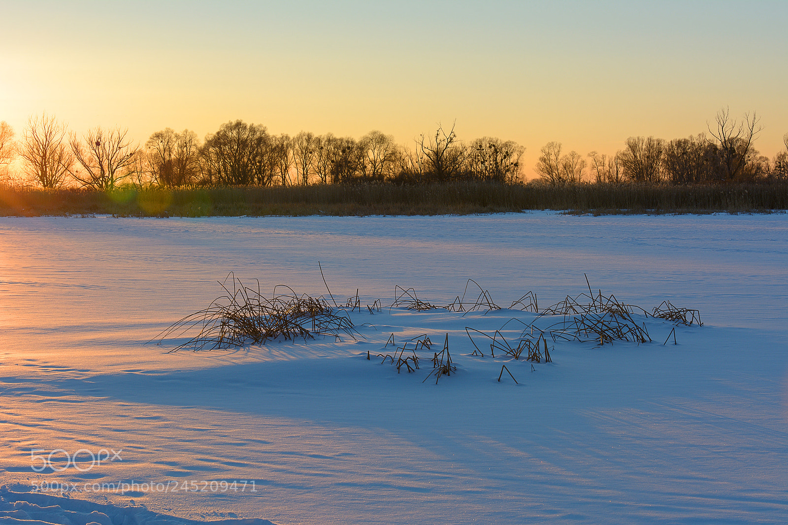 Nikon D7100 sample photo. On ice photography