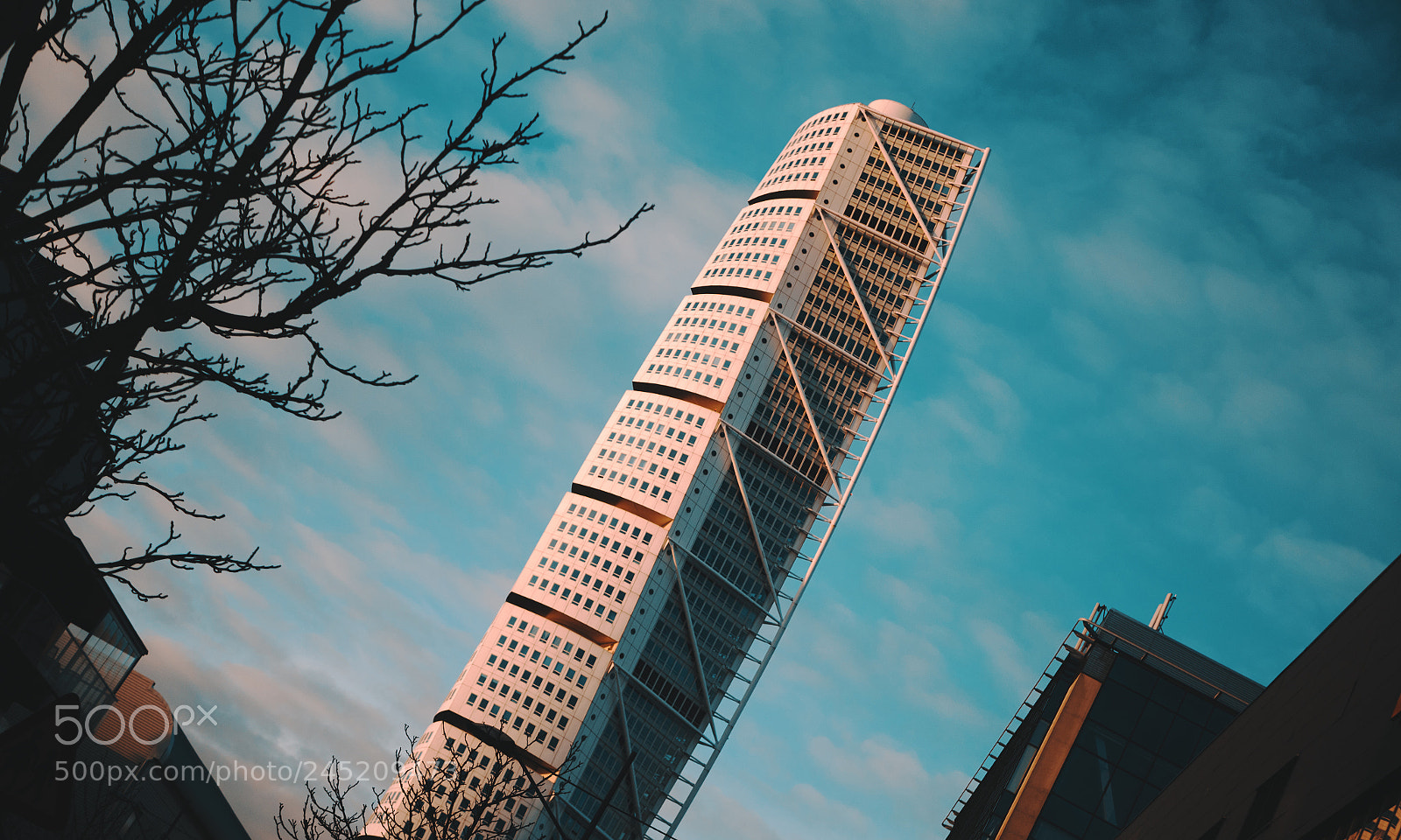 Panasonic Lumix DC-GH5 sample photo. Turning torso photography