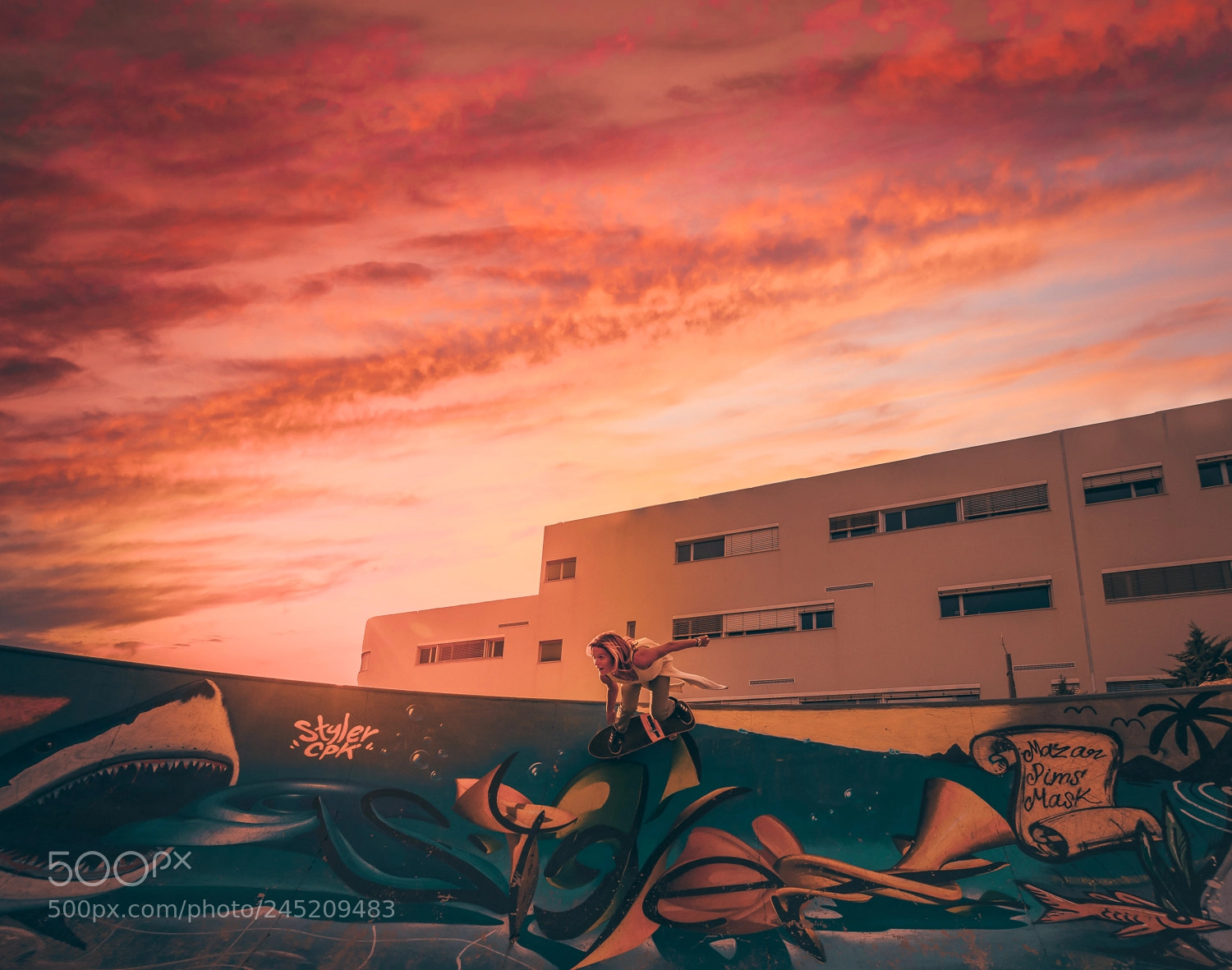 Nikon D7200 sample photo. Skate photography