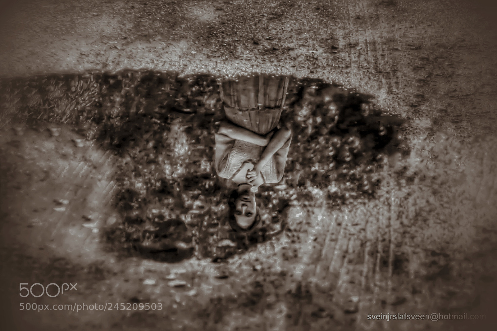 Canon EOS 60D sample photo. Sadness in a puddle photography
