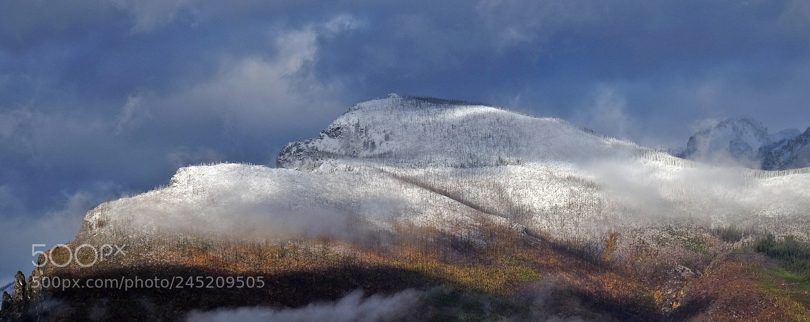 Fujifilm X-T10 sample photo. Following an early snow photography
