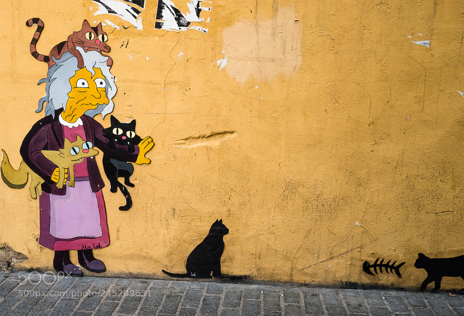 Panasonic Lumix DMC-GX8 sample photo. Cat lady wall art photography