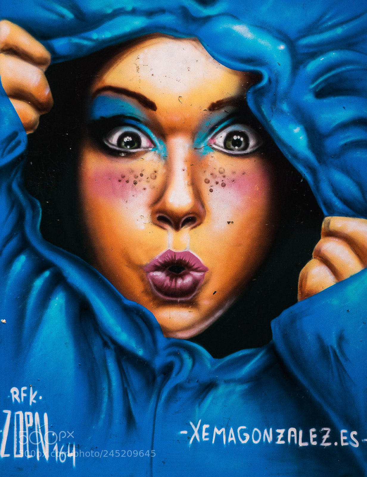 Panasonic Lumix DMC-GX8 sample photo. Shutter art valencian back photography