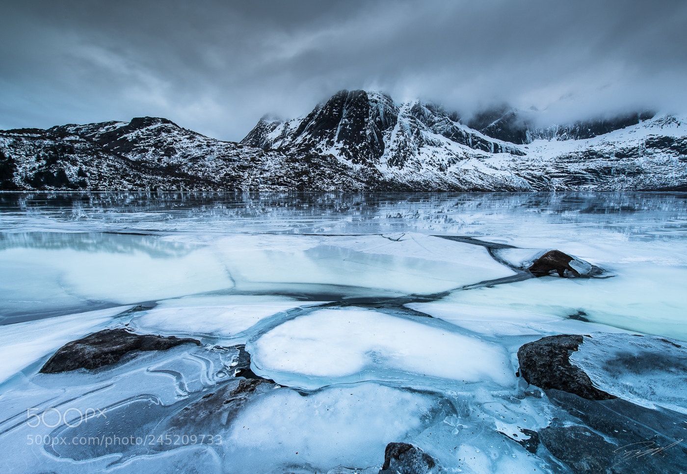 Nikon D850 sample photo. Blue evening in lofoten photography