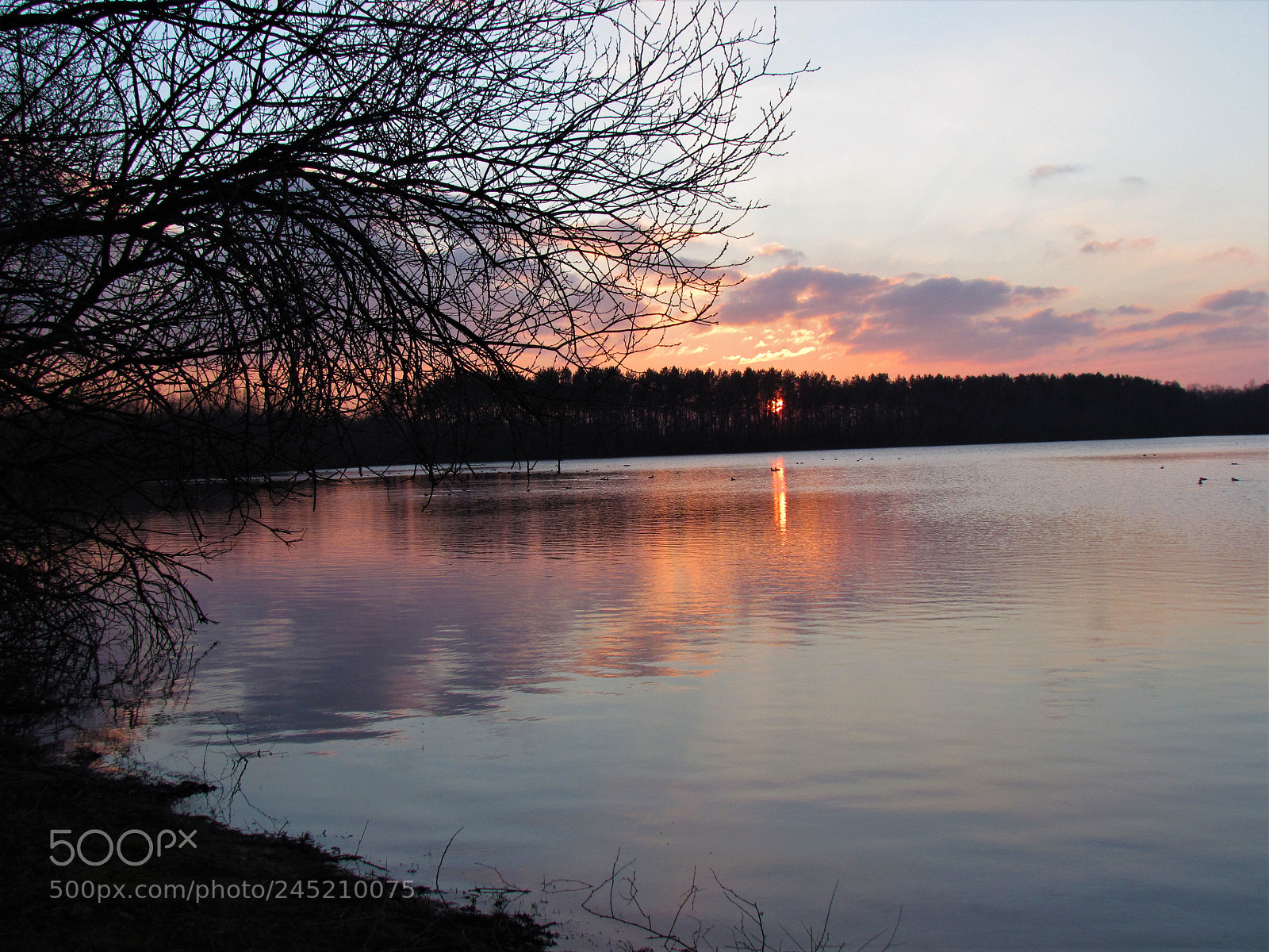 Canon PowerShot SX30 IS sample photo. Sunset on the water photography