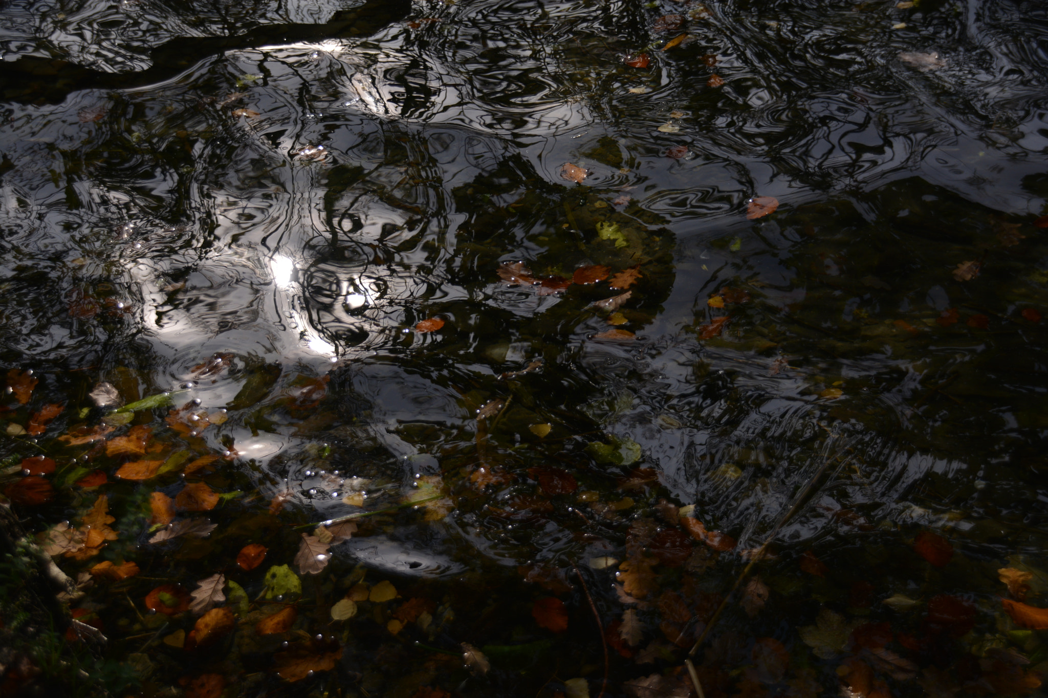 Sigma 18-250mm F3.5-6.3 DC Macro OS HSM sample photo. Dark water photography