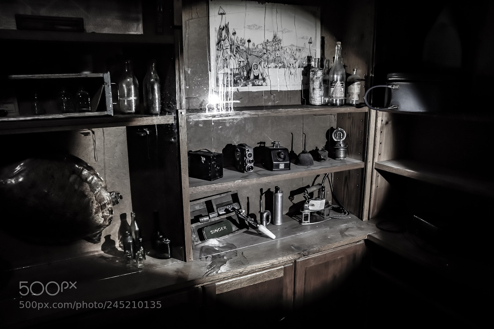 Sony SLT-A77 sample photo. Collection photography