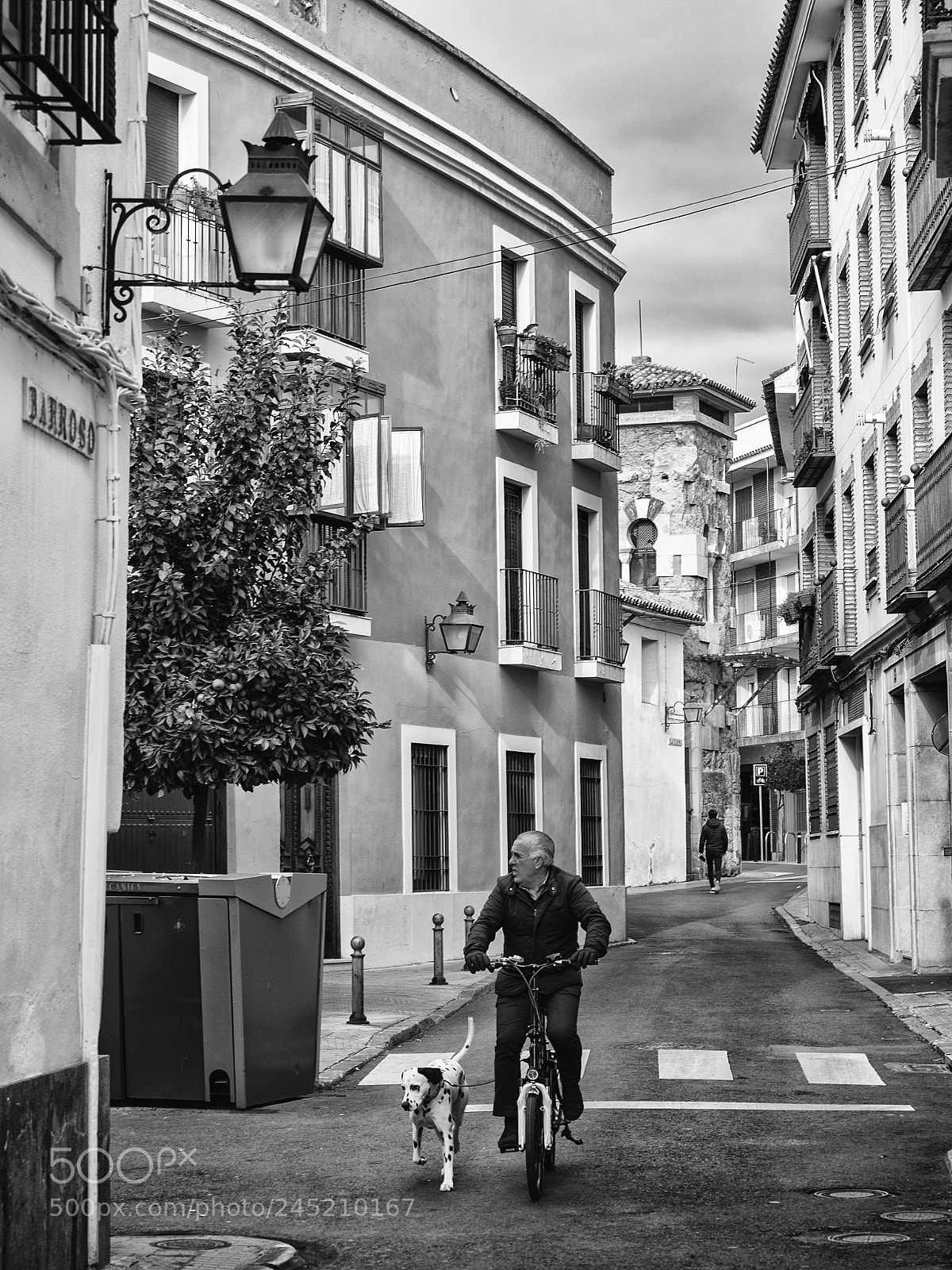Olympus OM-D E-M1 sample photo. Ciclista con perro photography