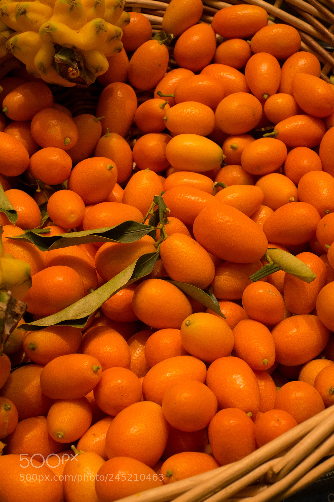 Fujifilm X-Pro1 sample photo. Quats (of ) photography